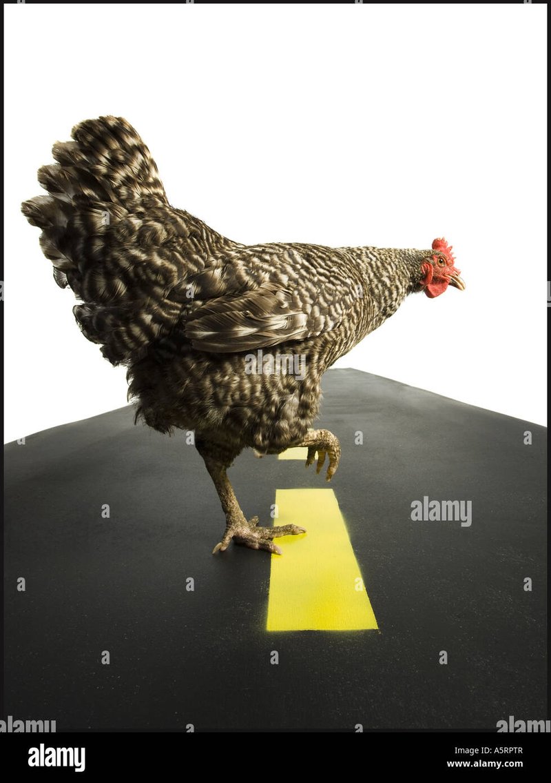 Chicken road casino - Ontdek de spannende wereld van de Chicken Road gokspel in Nederland
